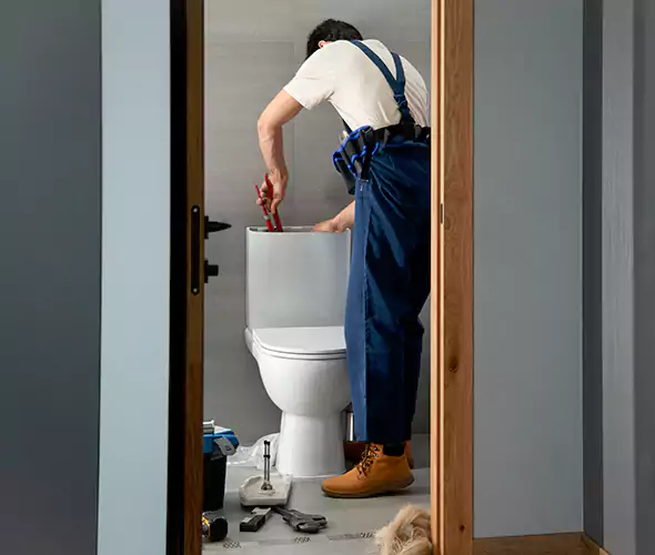 Professional Plumbers for Toilet Bowl Replacement in Rome, GA: Schedule Affordable Toilet Replacement Services With Us
