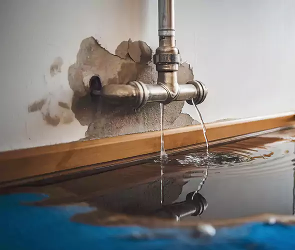 Professional Water Damage Restoration Experts in Rome, GA — Fast, Reliable & Certified