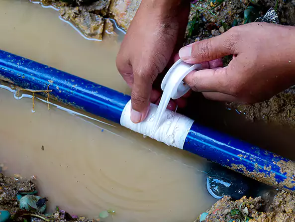  Why Choose Rome Plumbers for Leak Detection in Rome, GA?]